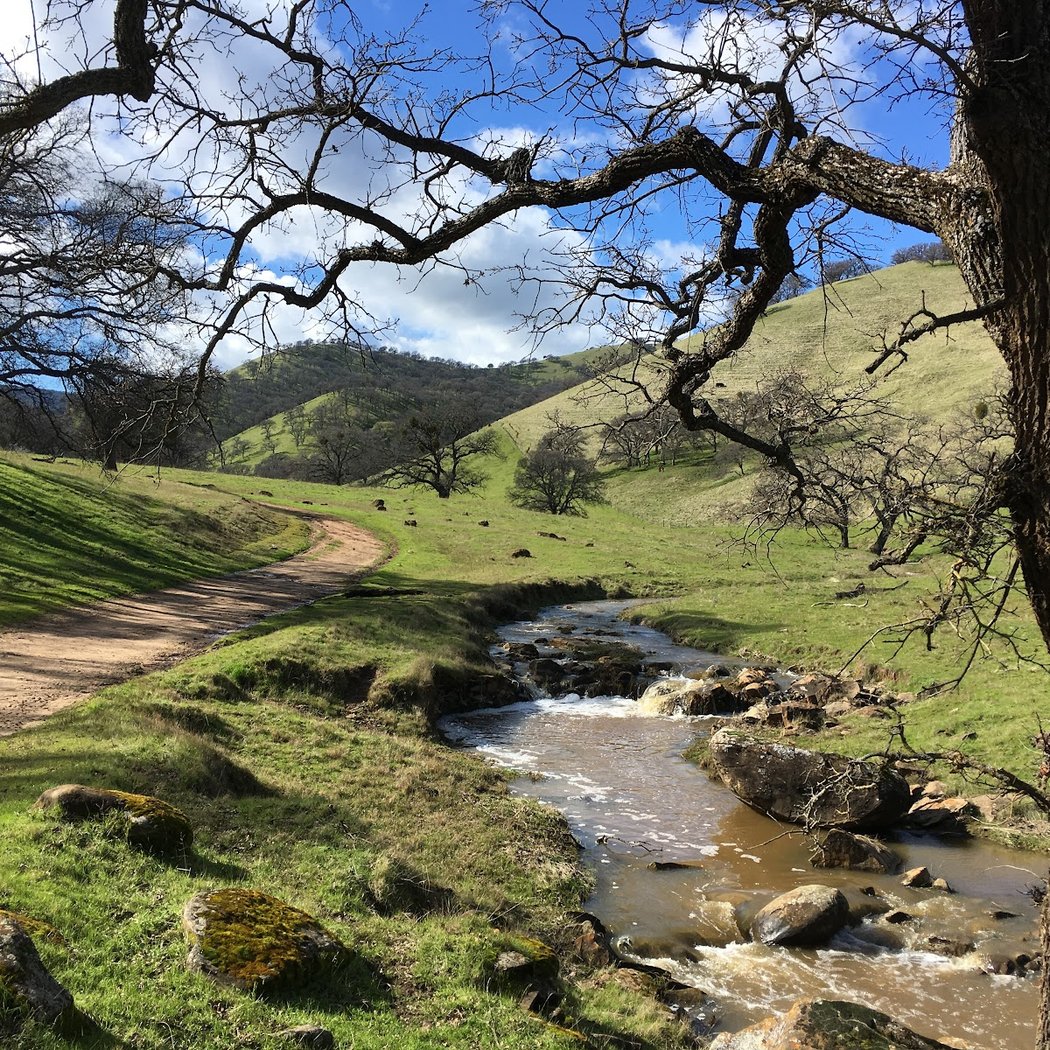 Round Valley Regional Preserve 1