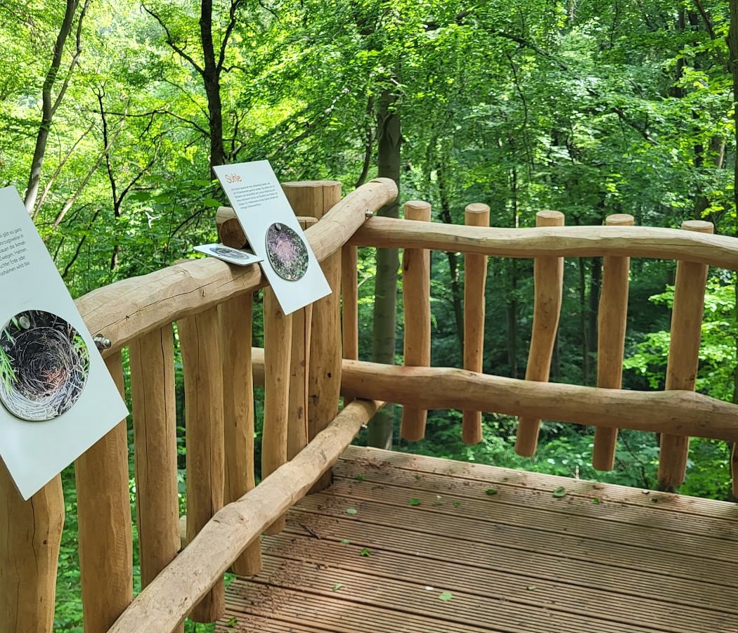 WaldPfad Schlauer Ux 2