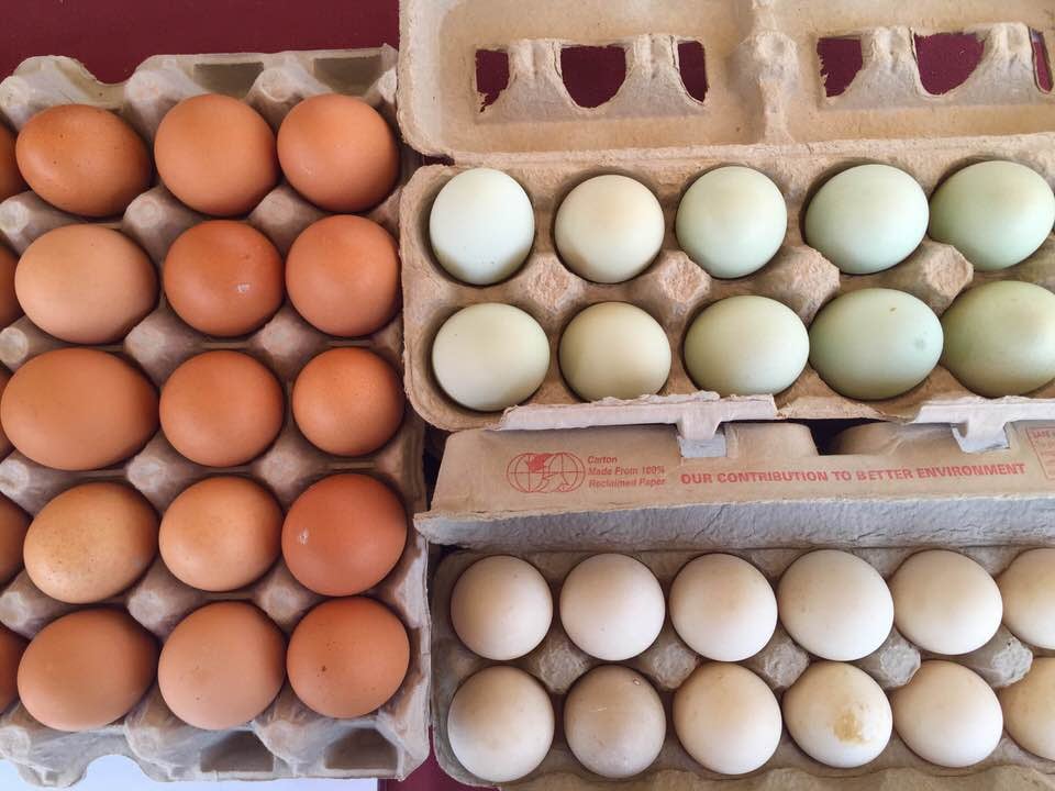 Campbell Farmer's Market 3