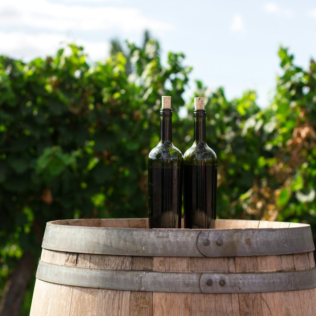 Cloverdale Wine Walk 1