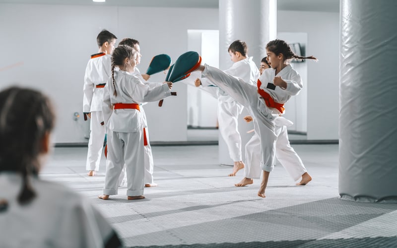 Taekwondo Initiations 1