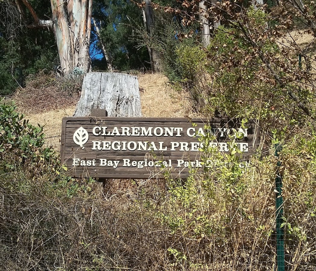 Claremont Fire Trail 3