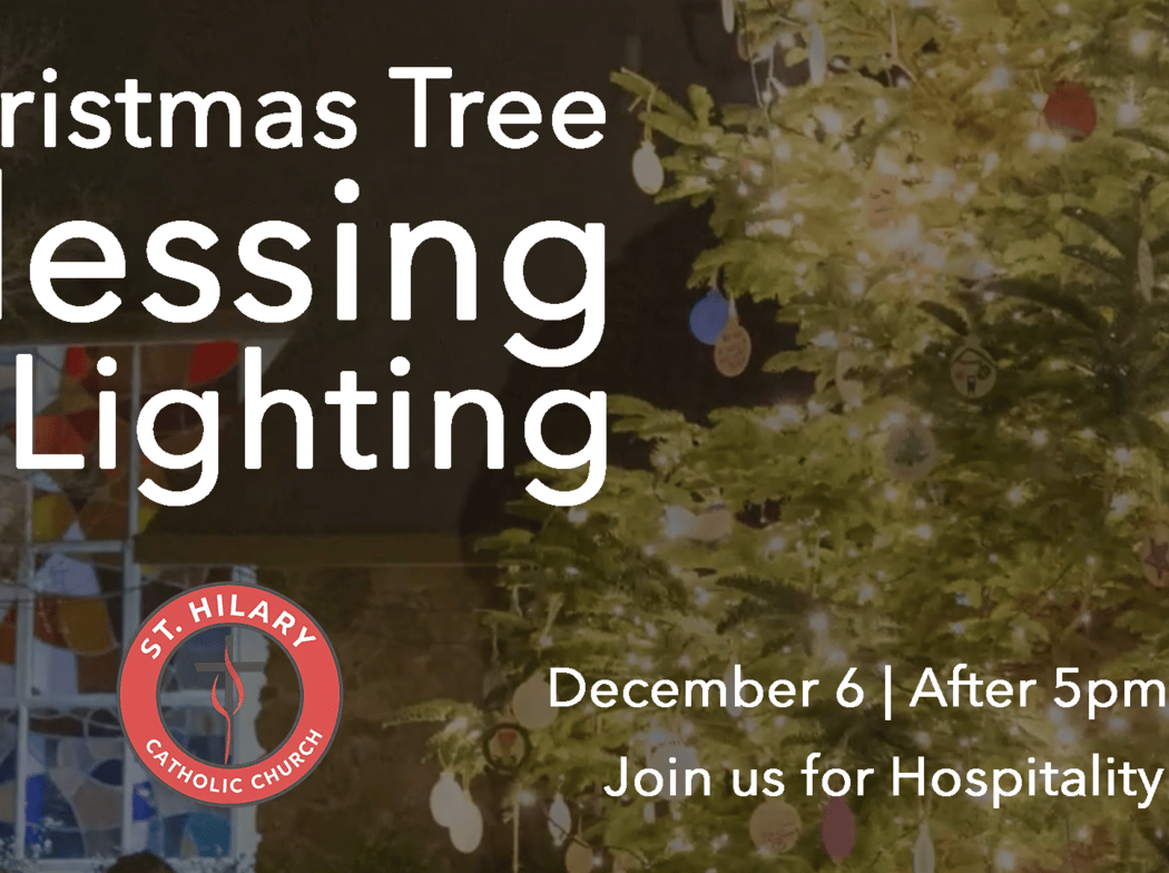 Christmas Tree Lighting 1