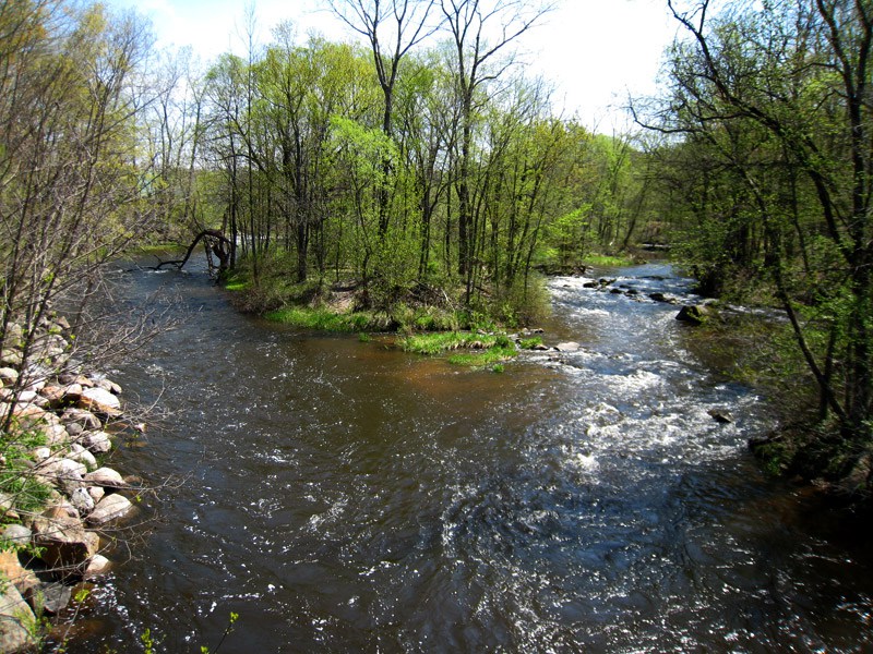 Rogue River Park 3
