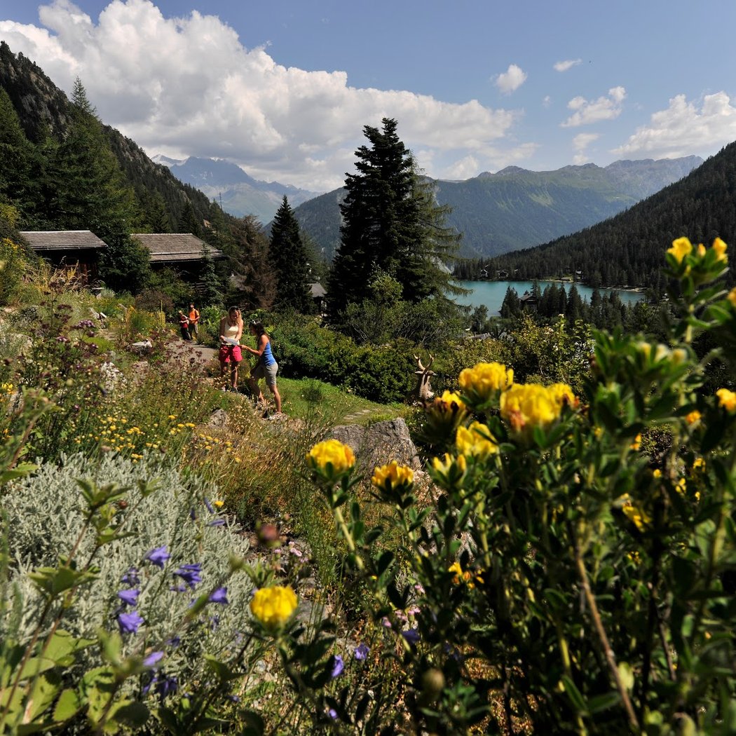 alpin Flore-Alpe Botanical Garden 1