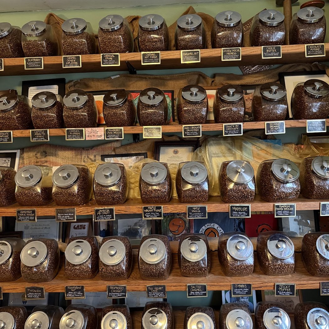 Orange Cat Coffee Co 1