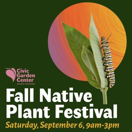 Fall Native Plant Festival