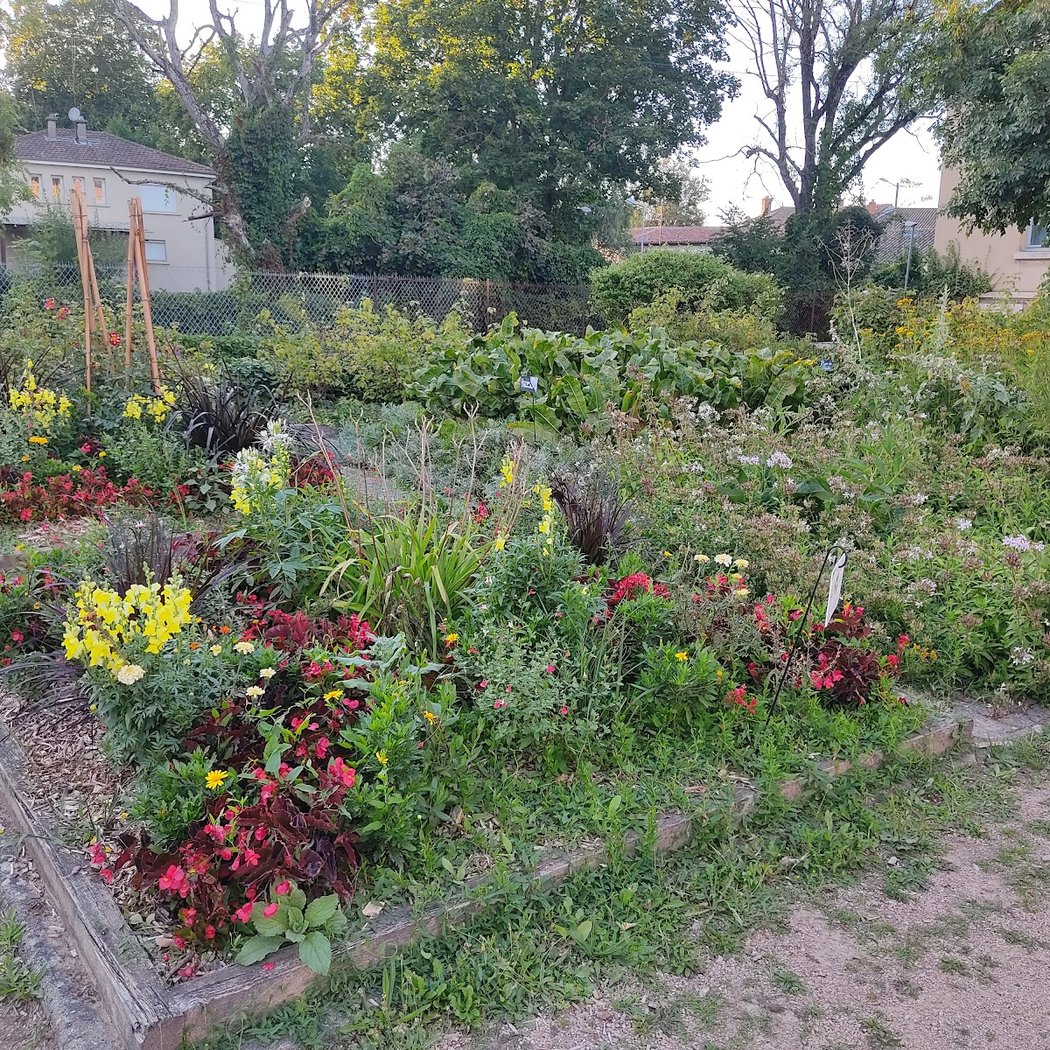 Simples Garden 3