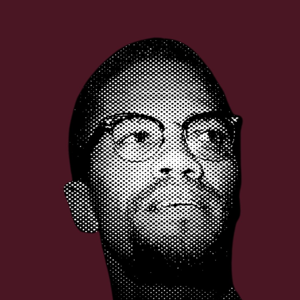 Malcolm X Expanded - Exploring His Legacy at the Intersections of Black Art and the Built Environment 1