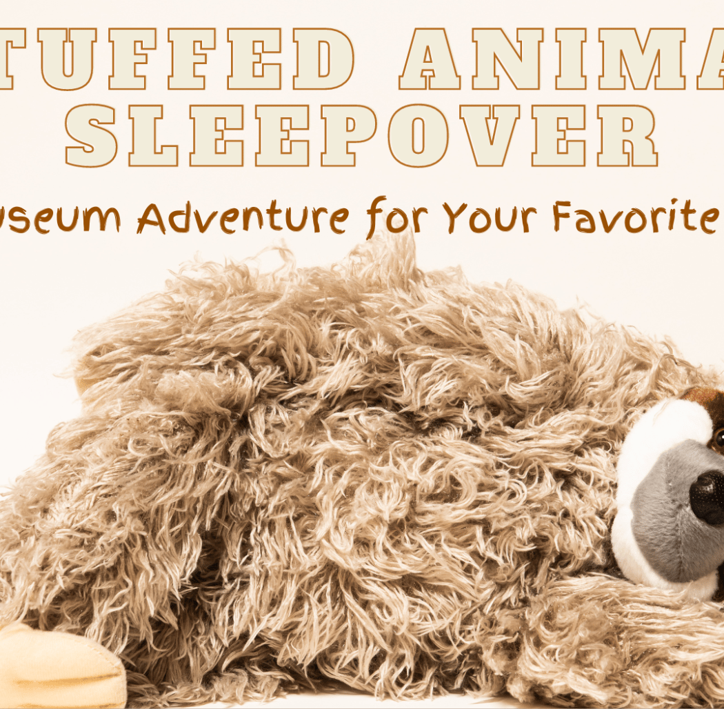 Stuffed Animal Sleepover 1