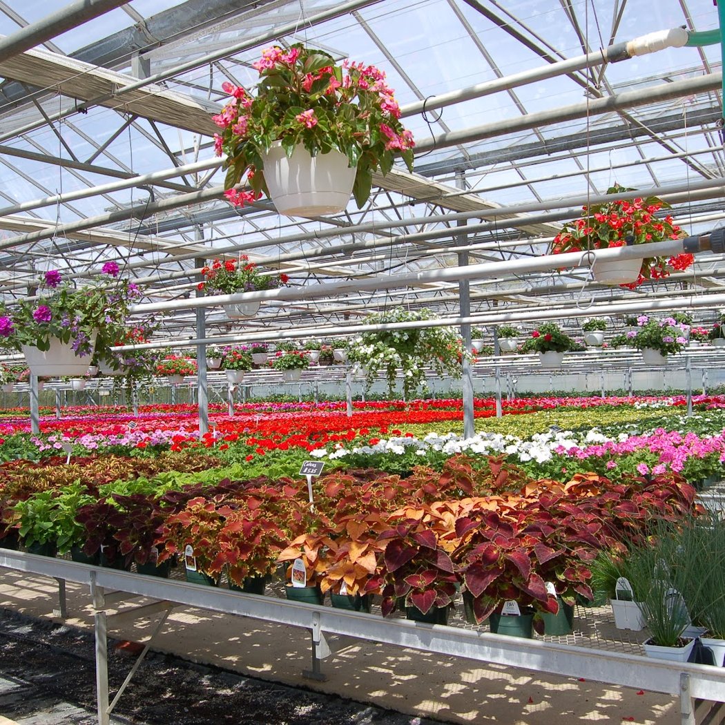 Halsey Farm & Nursery 2