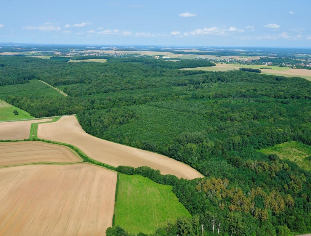 Carrière des Sablons 2