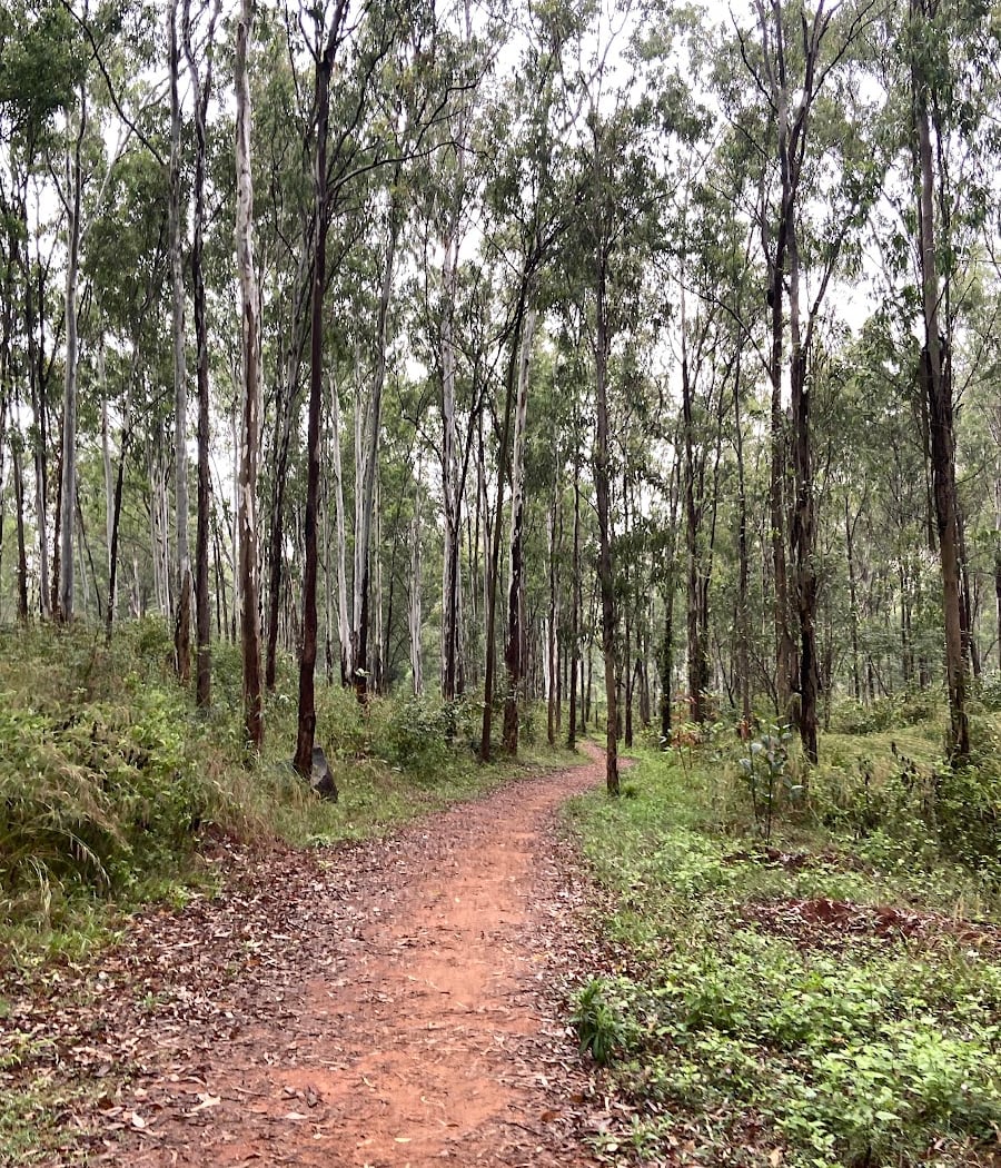 Turahalli Tree Park 5