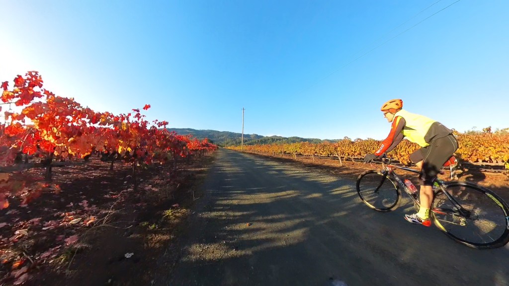 Calistoga Bikeshop 1