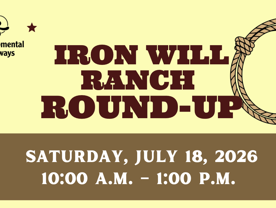 Iron Will Ranch Round-Up 1