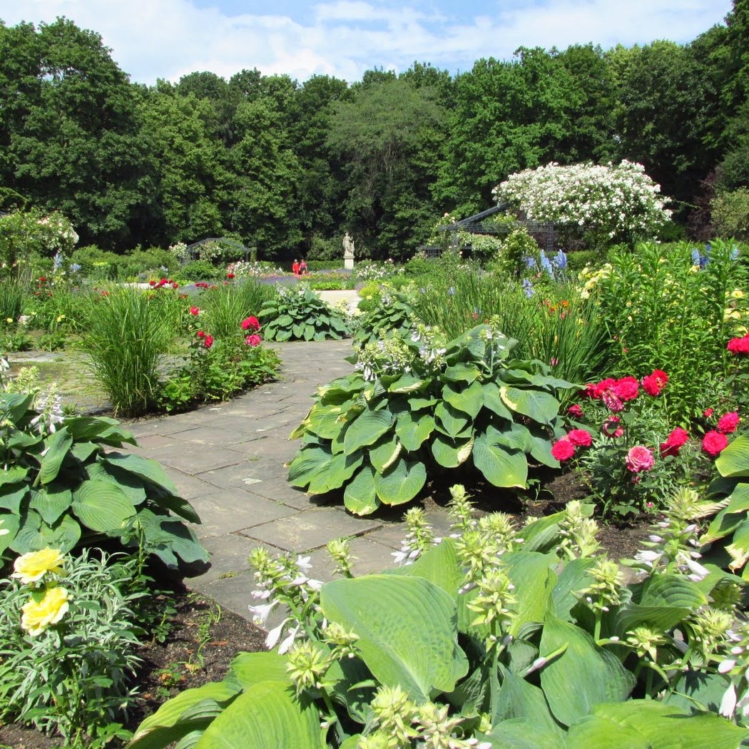 Rosengarten 2