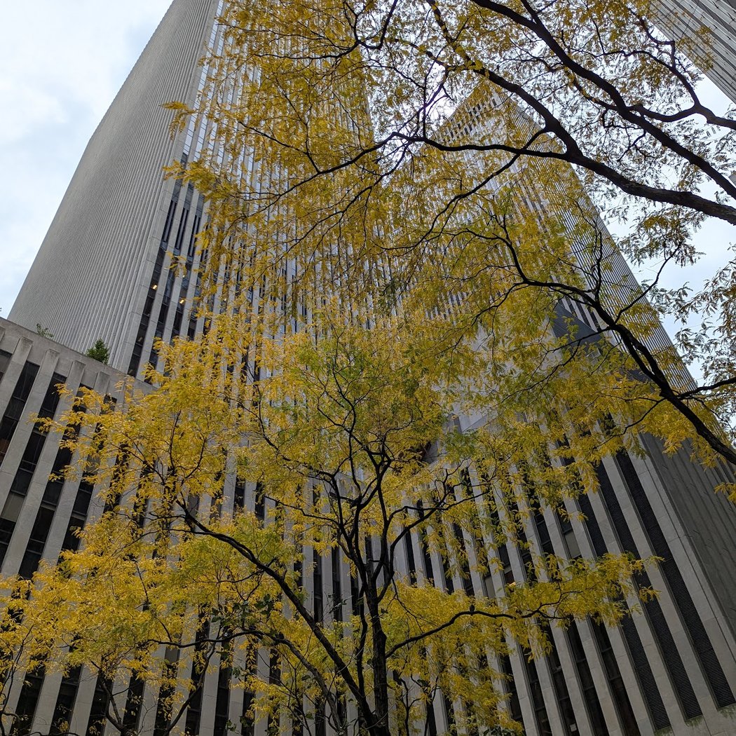 745 Plaza (Public Plaza) 3