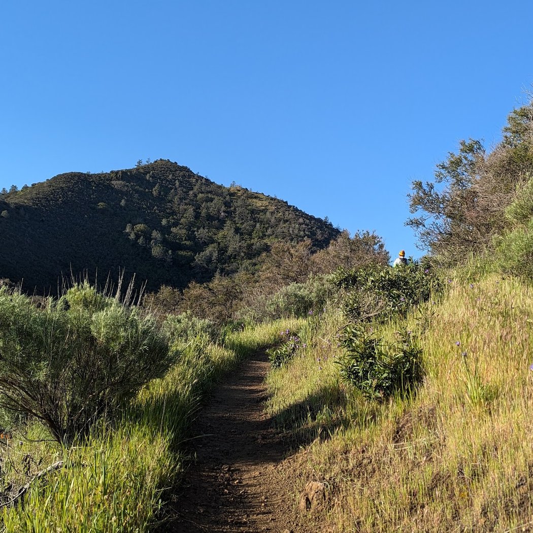 Mount Diablo State Park - Mitchell Canyon Visitor Center 3