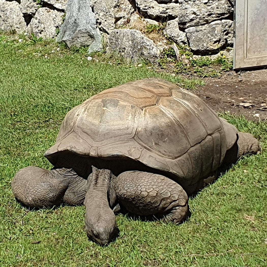 Hellabrunn Zoo 3