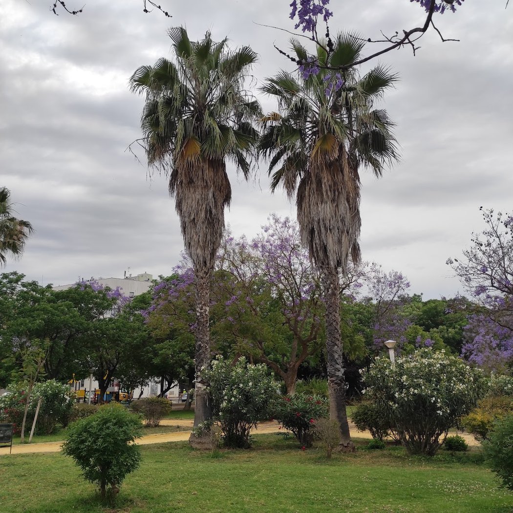 Jardines de La Calzada 3
