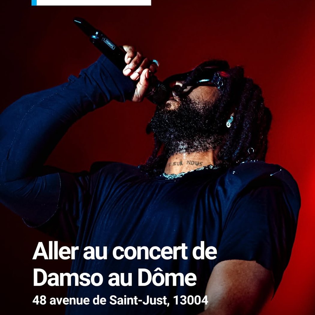 Concert de Damso 1