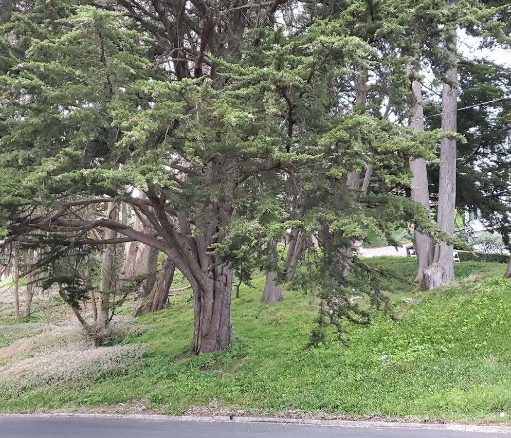 Grandview Open Space 3