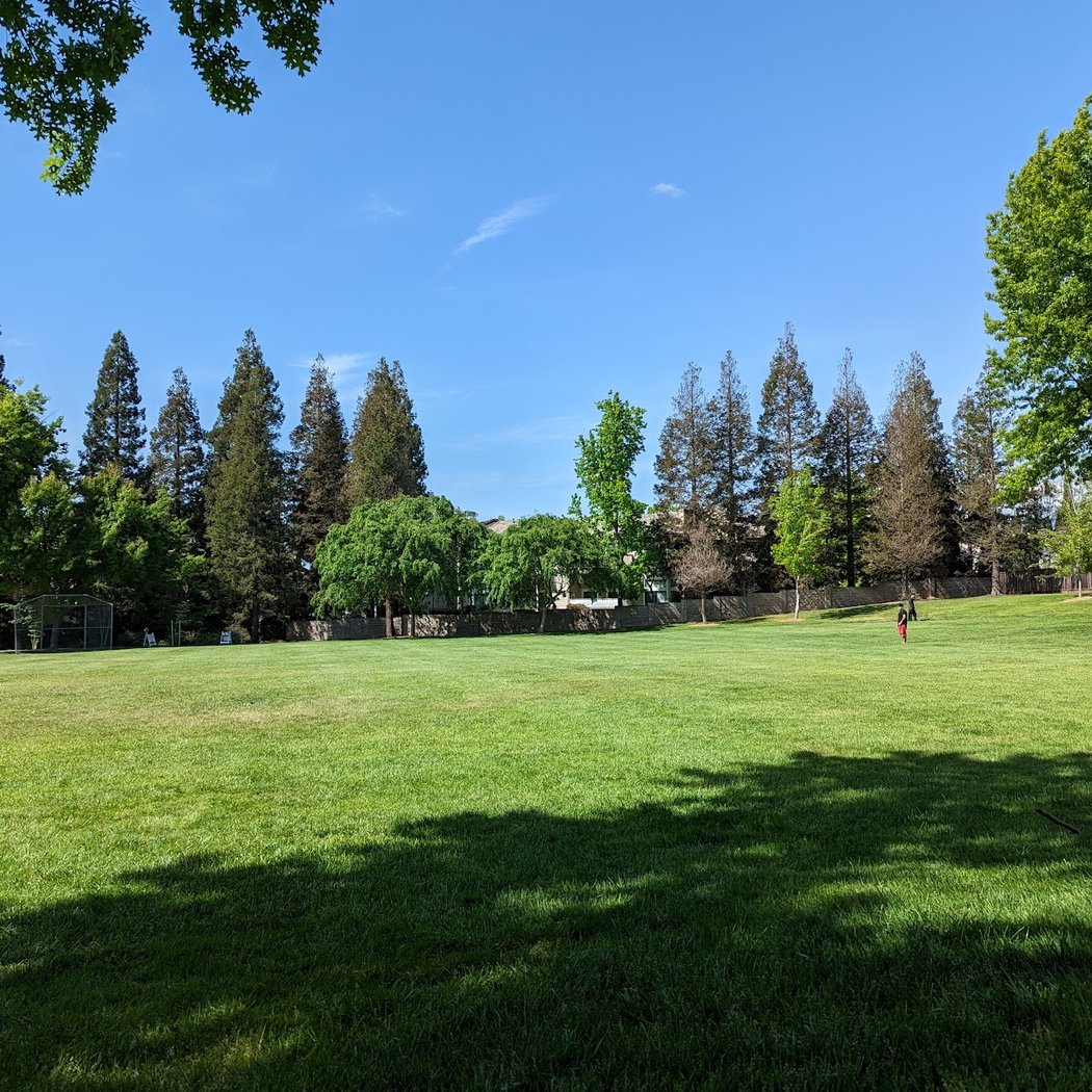 Tawny Park 1