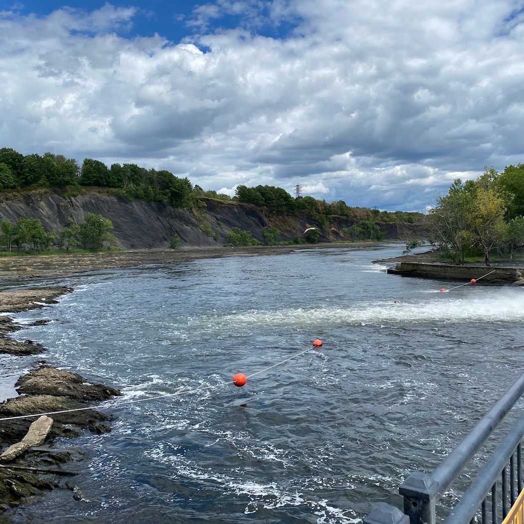 Cohoes Falls 2