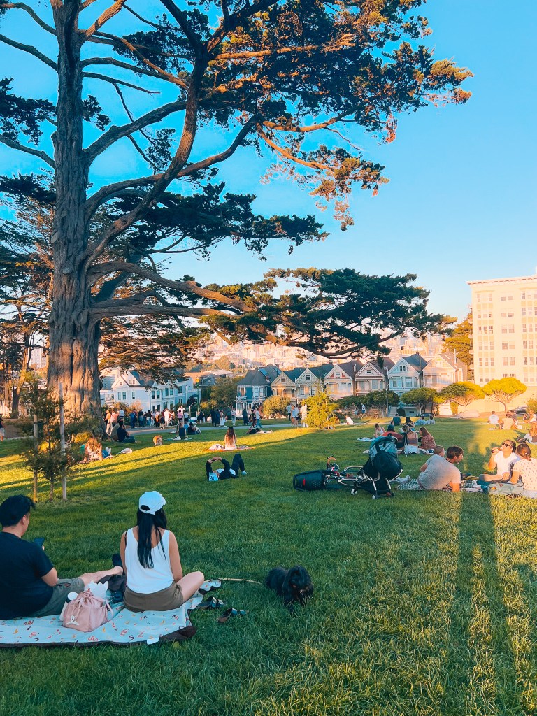 Alamo Square Park 2