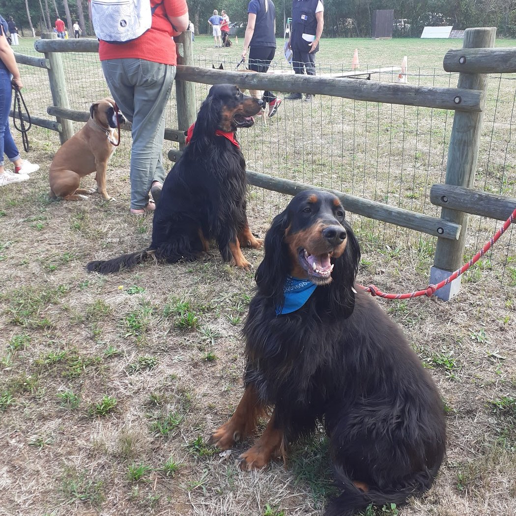 Cercle Canin Montrichardais 3