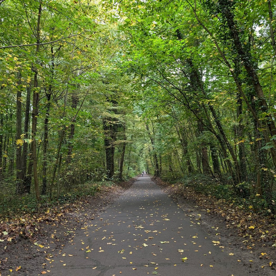 Parc Forestier Départemental de la Poudrerie de Sevran Livry 3