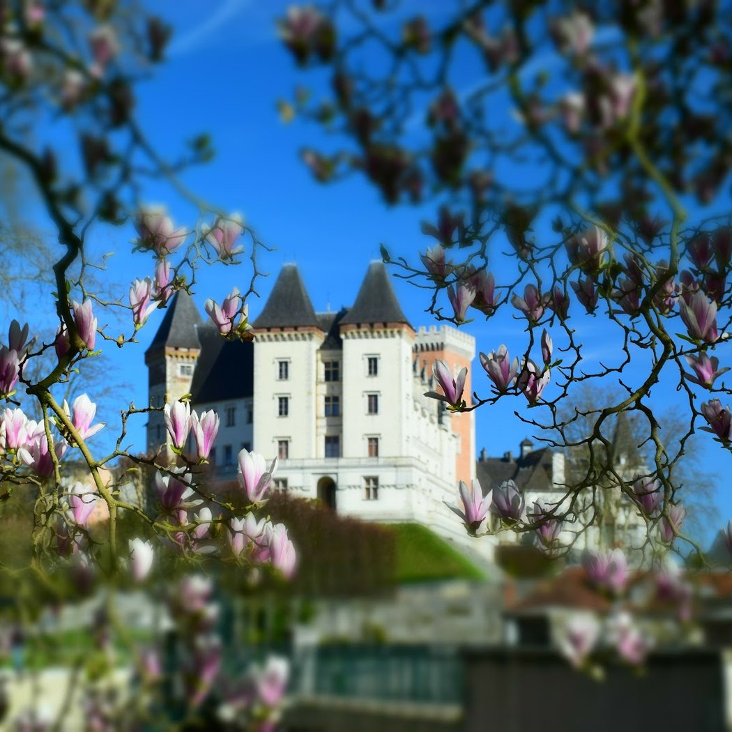 PAU PYRÉNÉES TOURISME 1