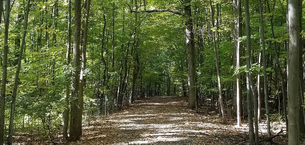 I-275 Metro Trail 4