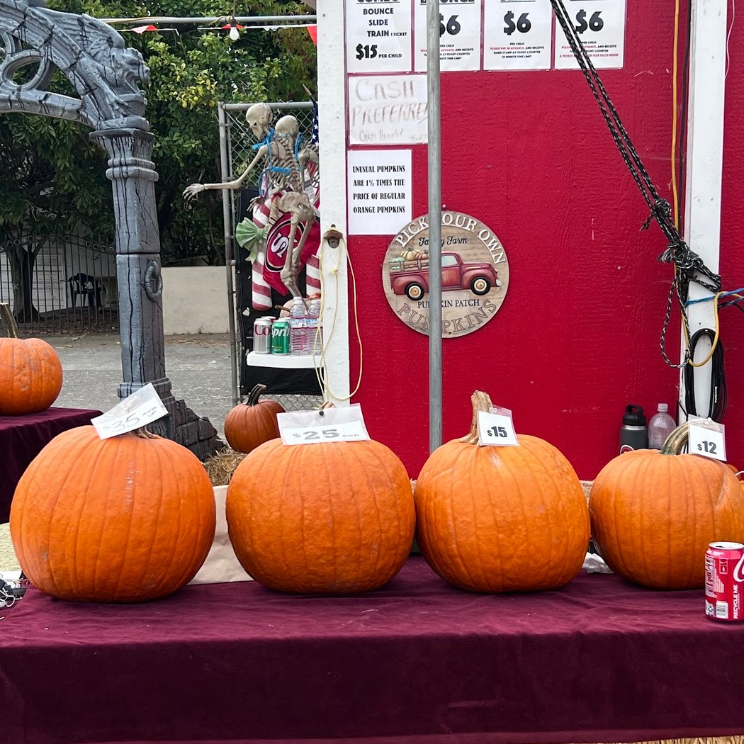 The Great Pumpkin Patch, Emerald Forest Christmas Trees 2