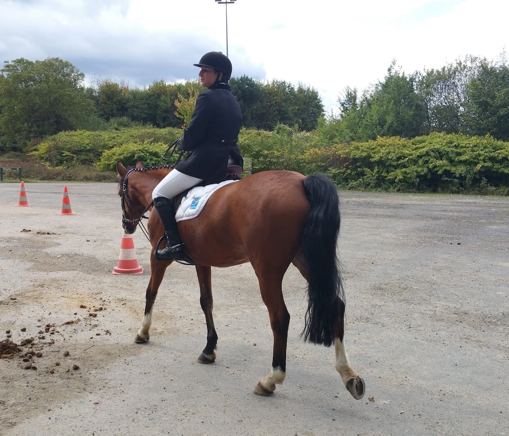 CENTRE EQUESTRE BASE LOISIRS DE JABLINES 3