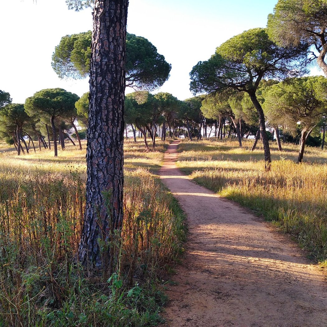 Parque Oromana 1