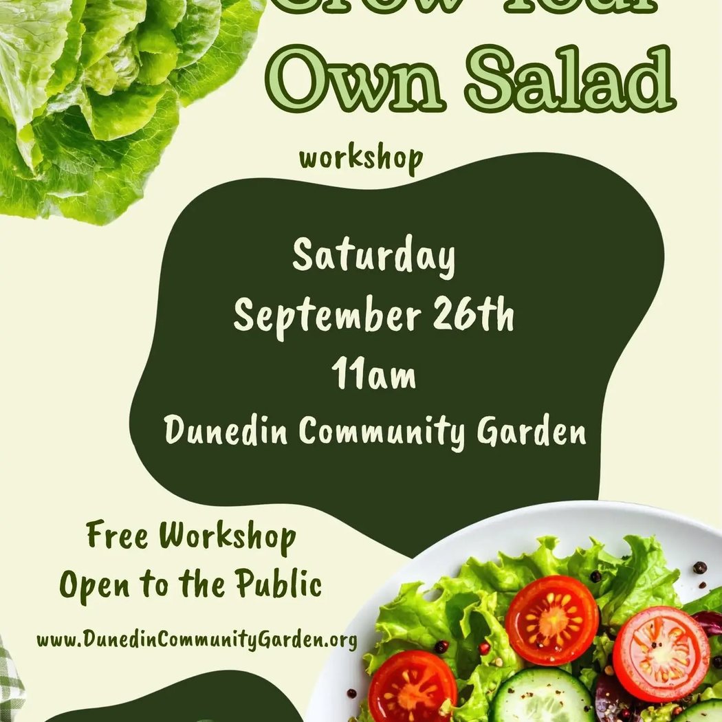 Grow Your Own Salad Workshop 1