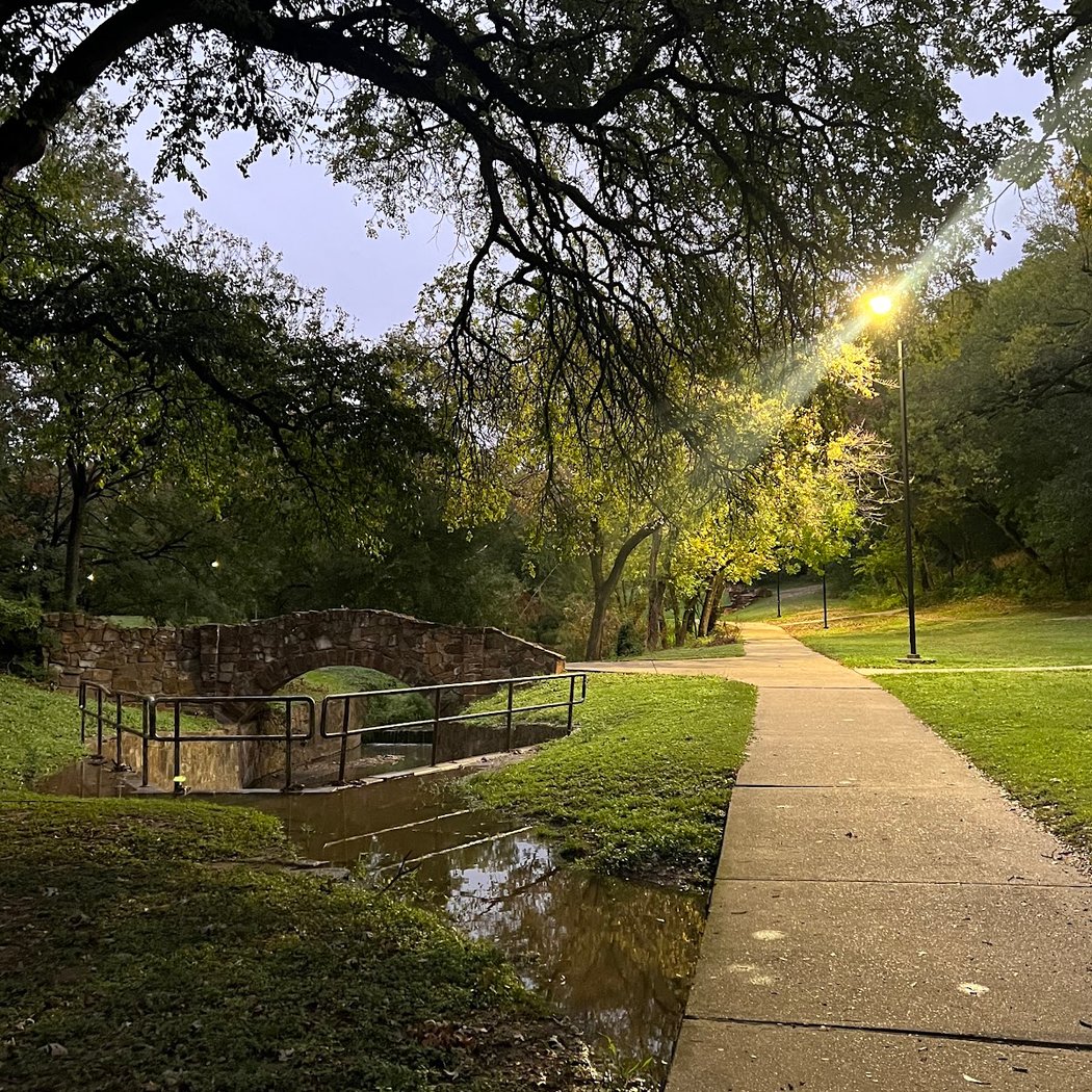 Reverchon Park 2