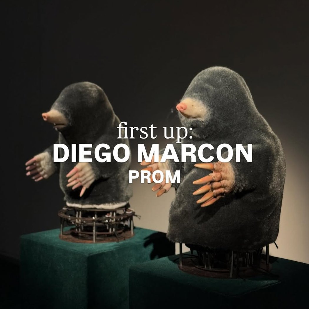 Diego Marcon - PROM 1