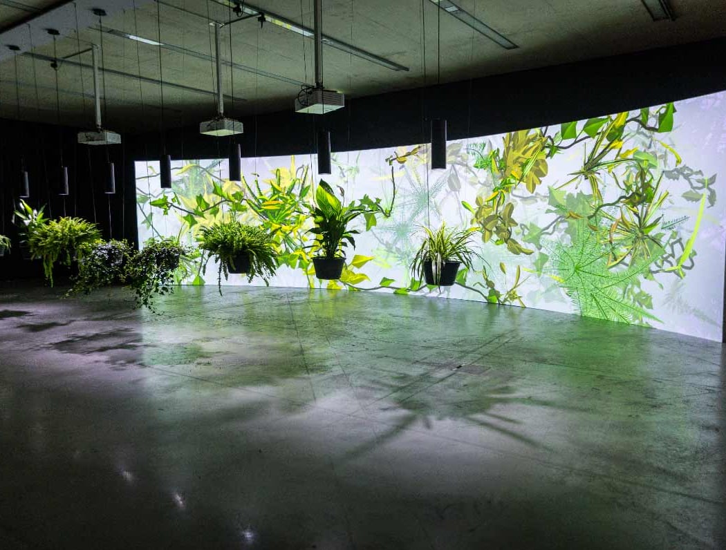 Earthwise 1