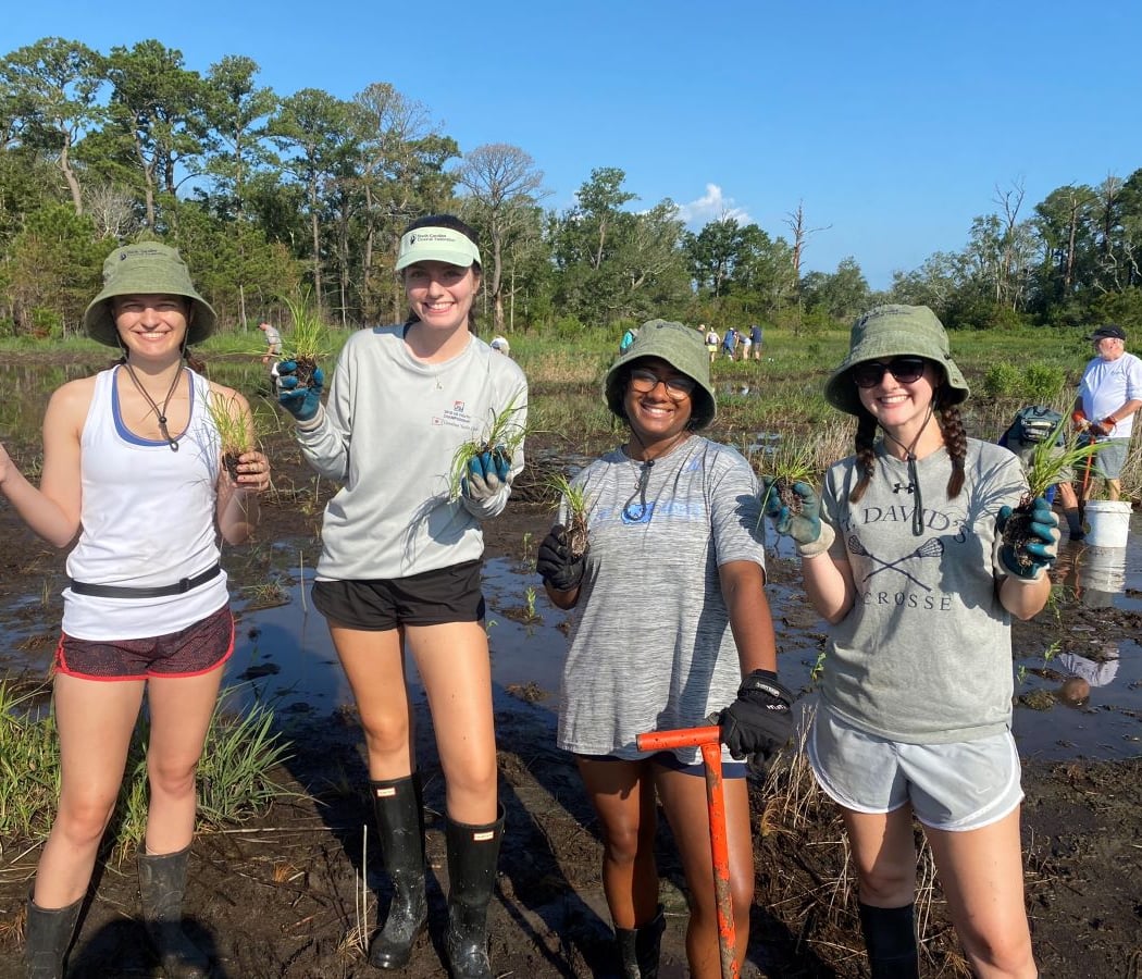 Watersmeet Prairie Grove Restoration Workday 3