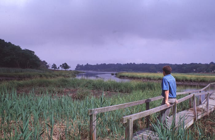 Udall's Cove Park Preserve 3