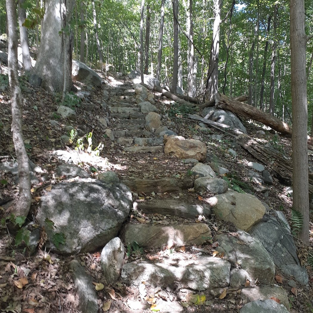 Granite Mountain Preserve 1