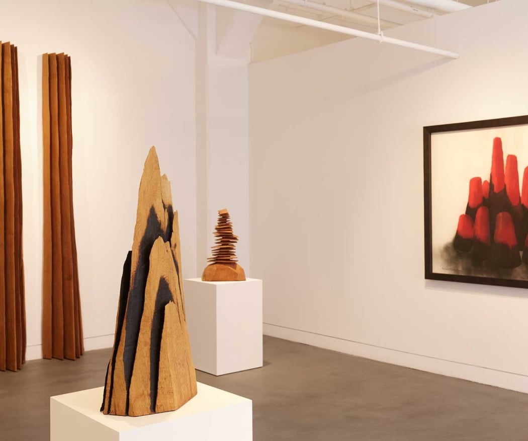 David Nash: Wildwood 3