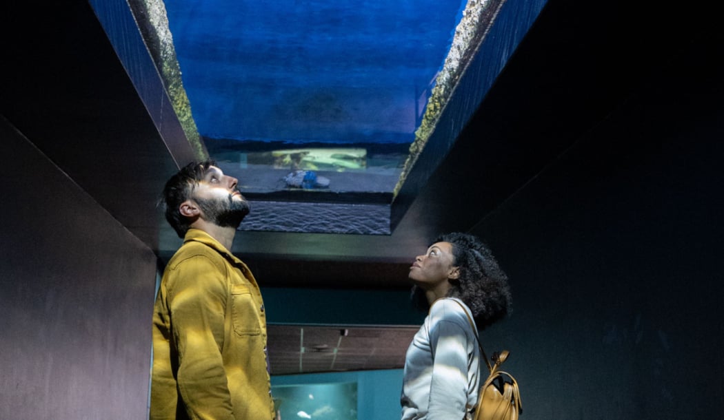 La Rochelle Aquarium 3