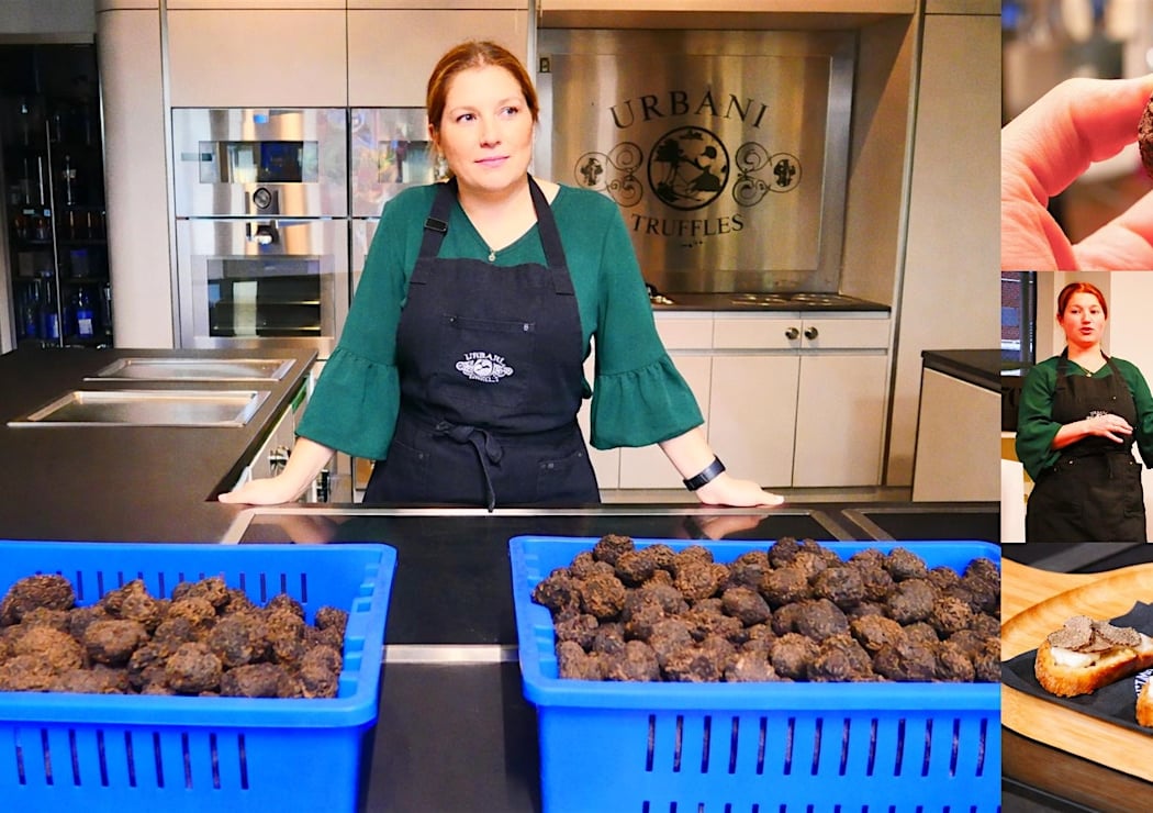 Truffle 101