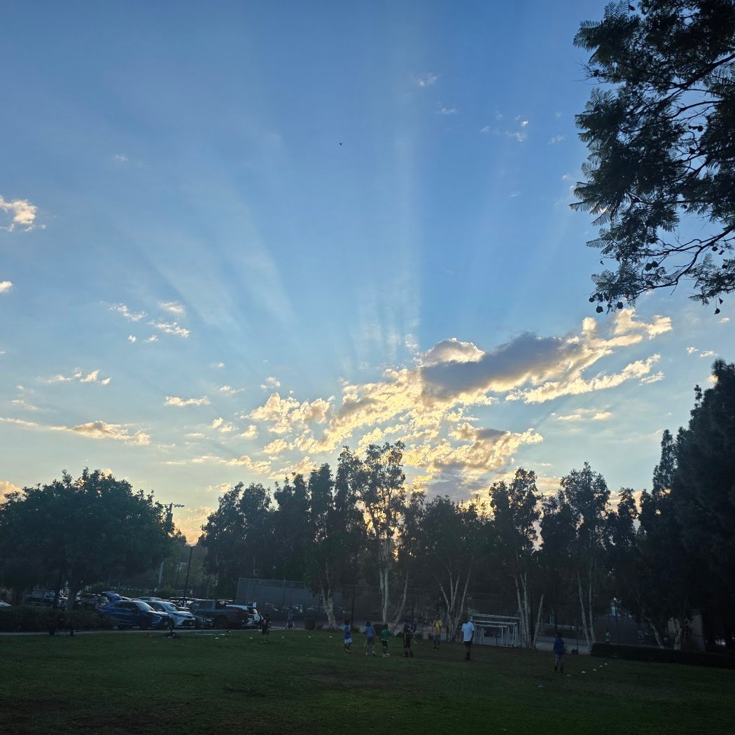 November City Hike 1