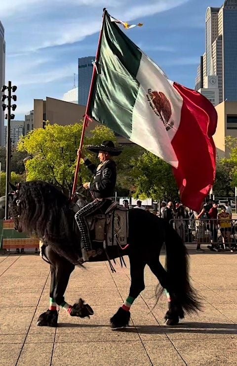 Viva Dallas 3