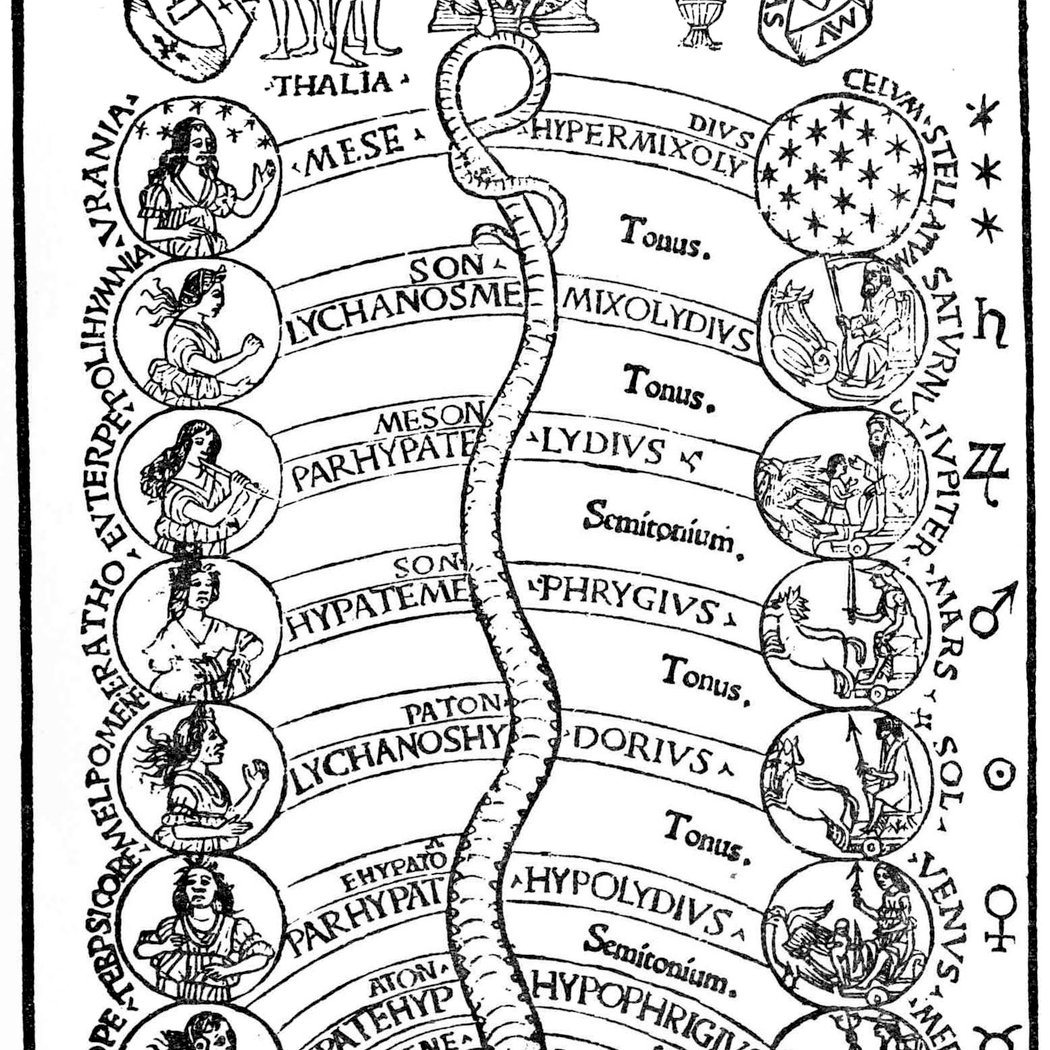Plato's Harmonic Cosmos 1