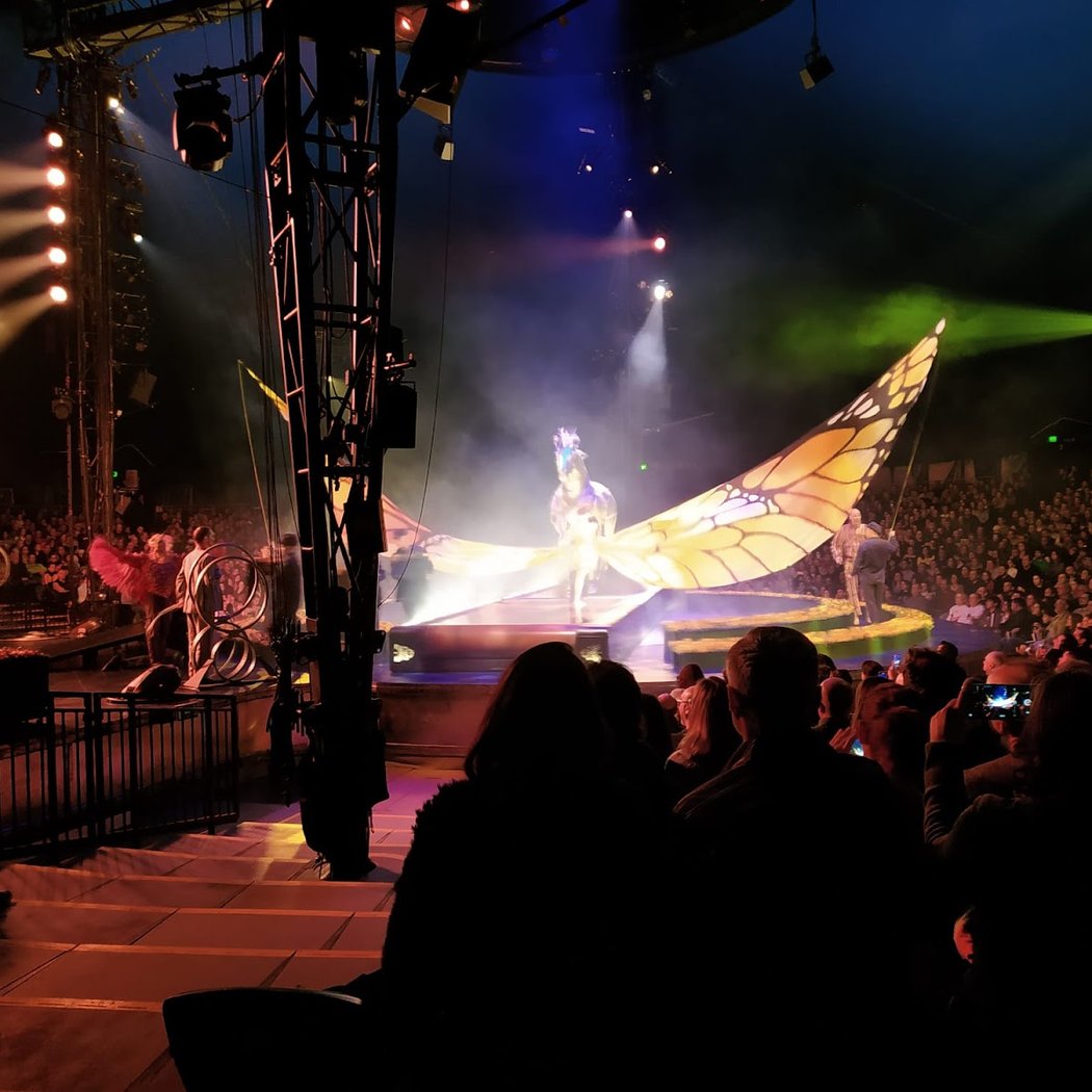 Kurios – Gabinete de Curiosidades 3